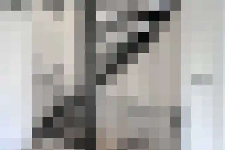 Heijtsveld 158 Gemert thumbnail 23