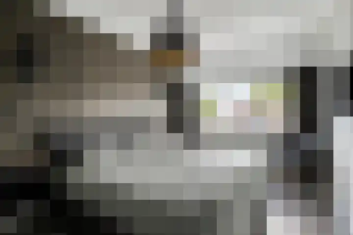 Heijtsveld 158 Gemert thumbnail 24