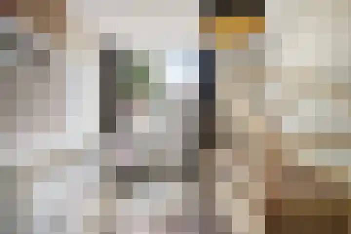 Heijtsveld 158 Gemert thumbnail 26