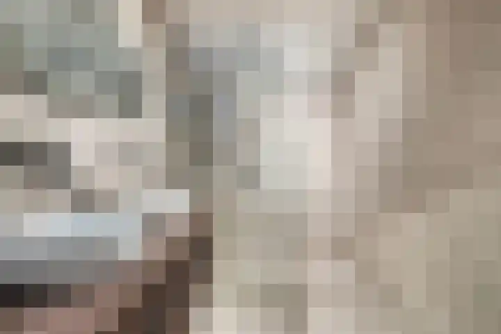 Heijtsveld 158 Gemert thumbnail 29