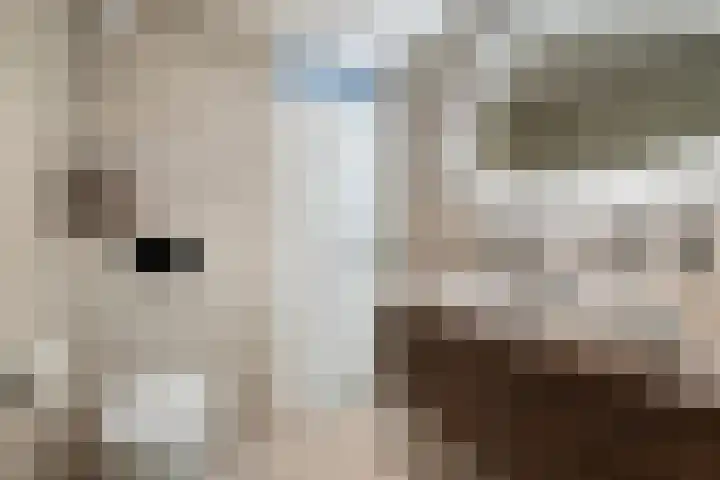Heijtsveld 158 Gemert thumbnail 30