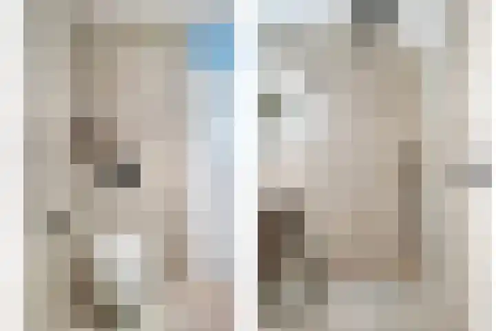 Heijtsveld 158 Gemert thumbnail 31