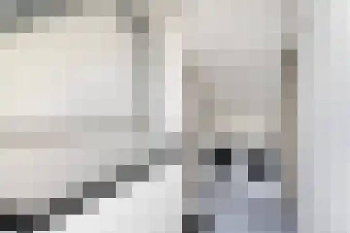 Heijtsveld 158 Gemert thumbnail 32