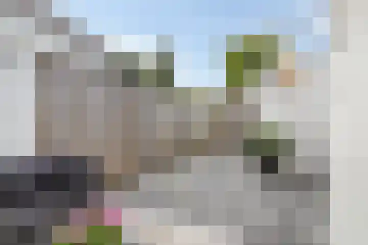 Heijtsveld 158 Gemert thumbnail 36
