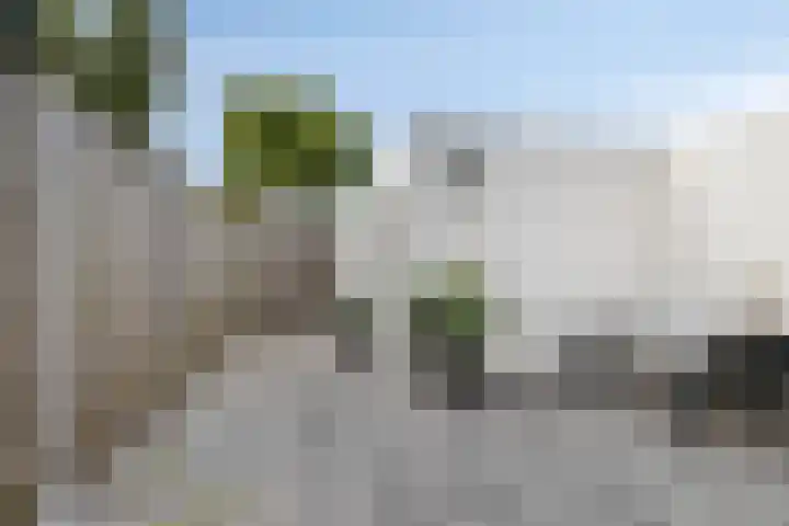 Heijtsveld 158 Gemert thumbnail 37