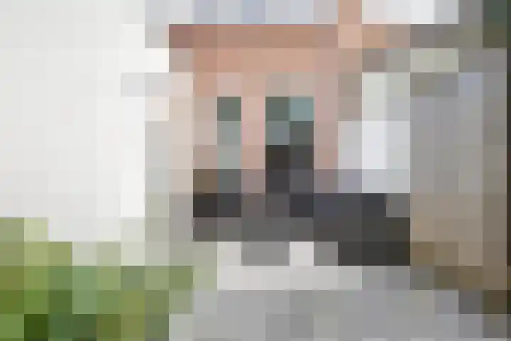 Heijtsveld 158 Gemert thumbnail 40