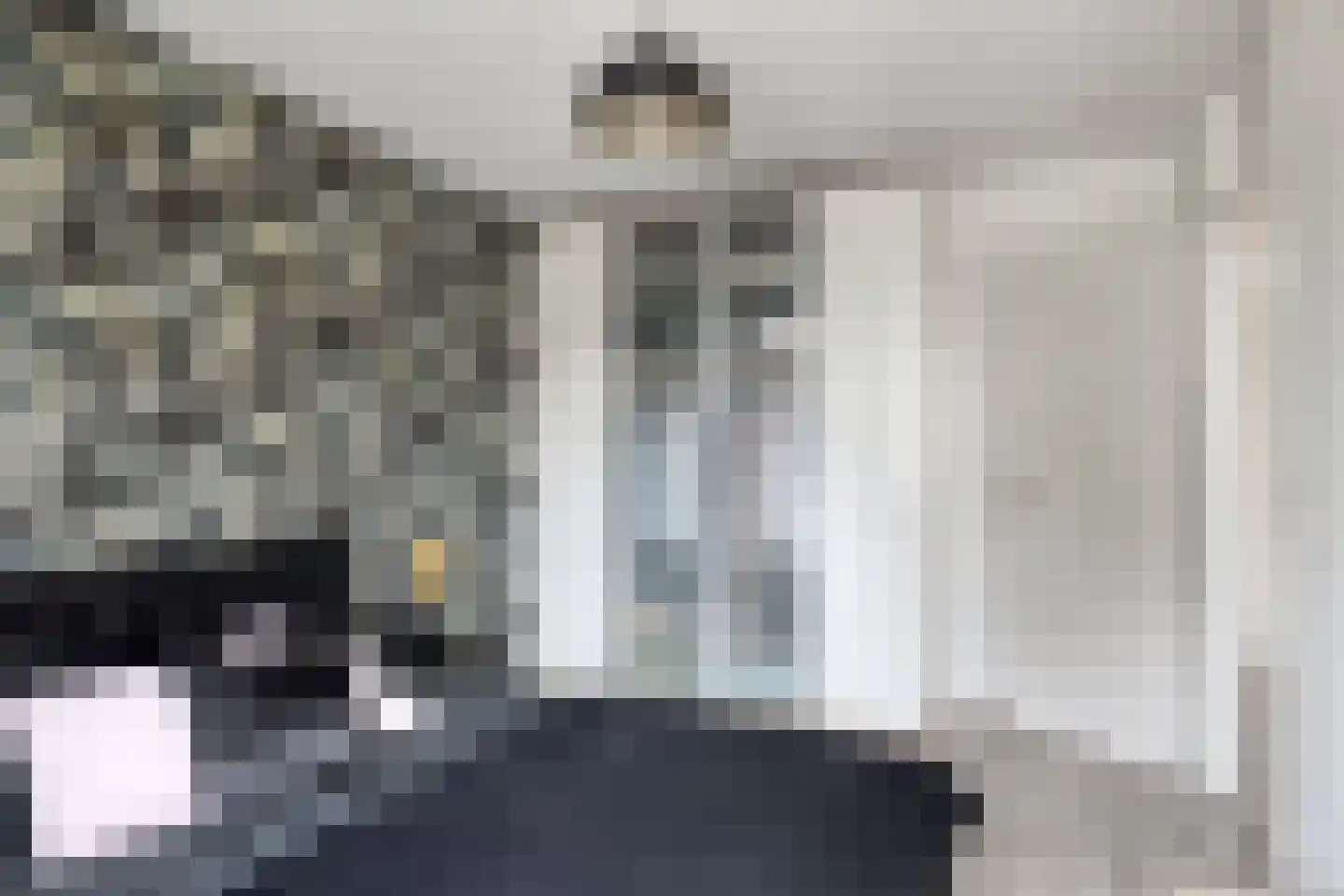 Heijtsveld 174 Gemert thumbnail 21