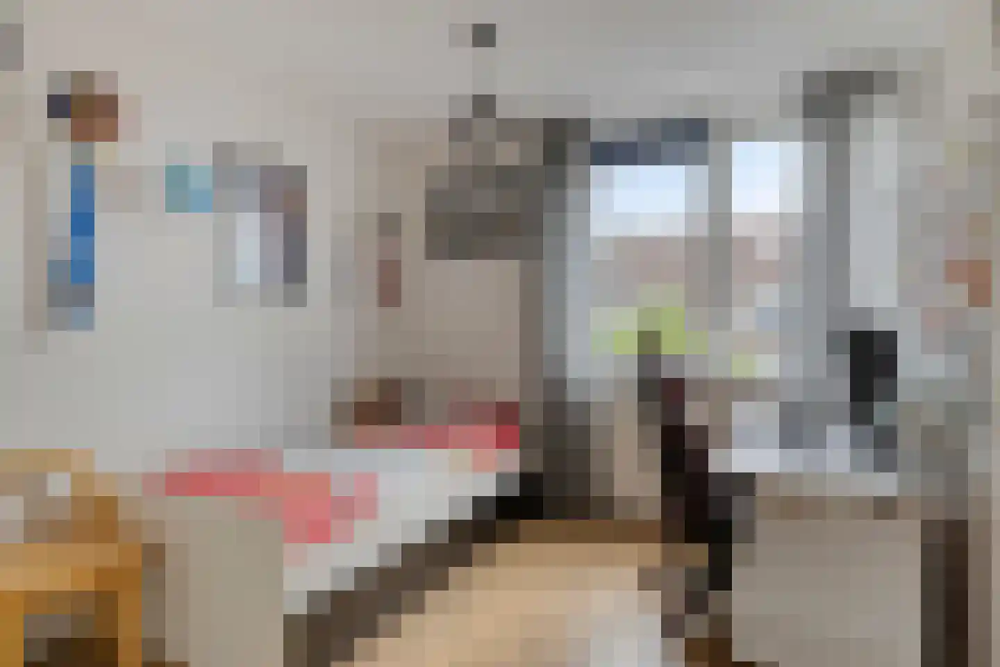 Heijtsveld 174 Gemert thumbnail 24