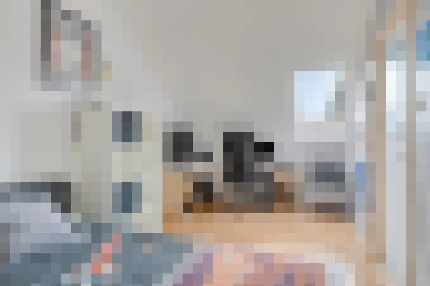 Heijtsveld 174 Gemert thumbnail 30