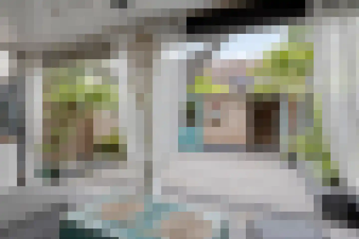 Heijtsveld 174 Gemert thumbnail 32