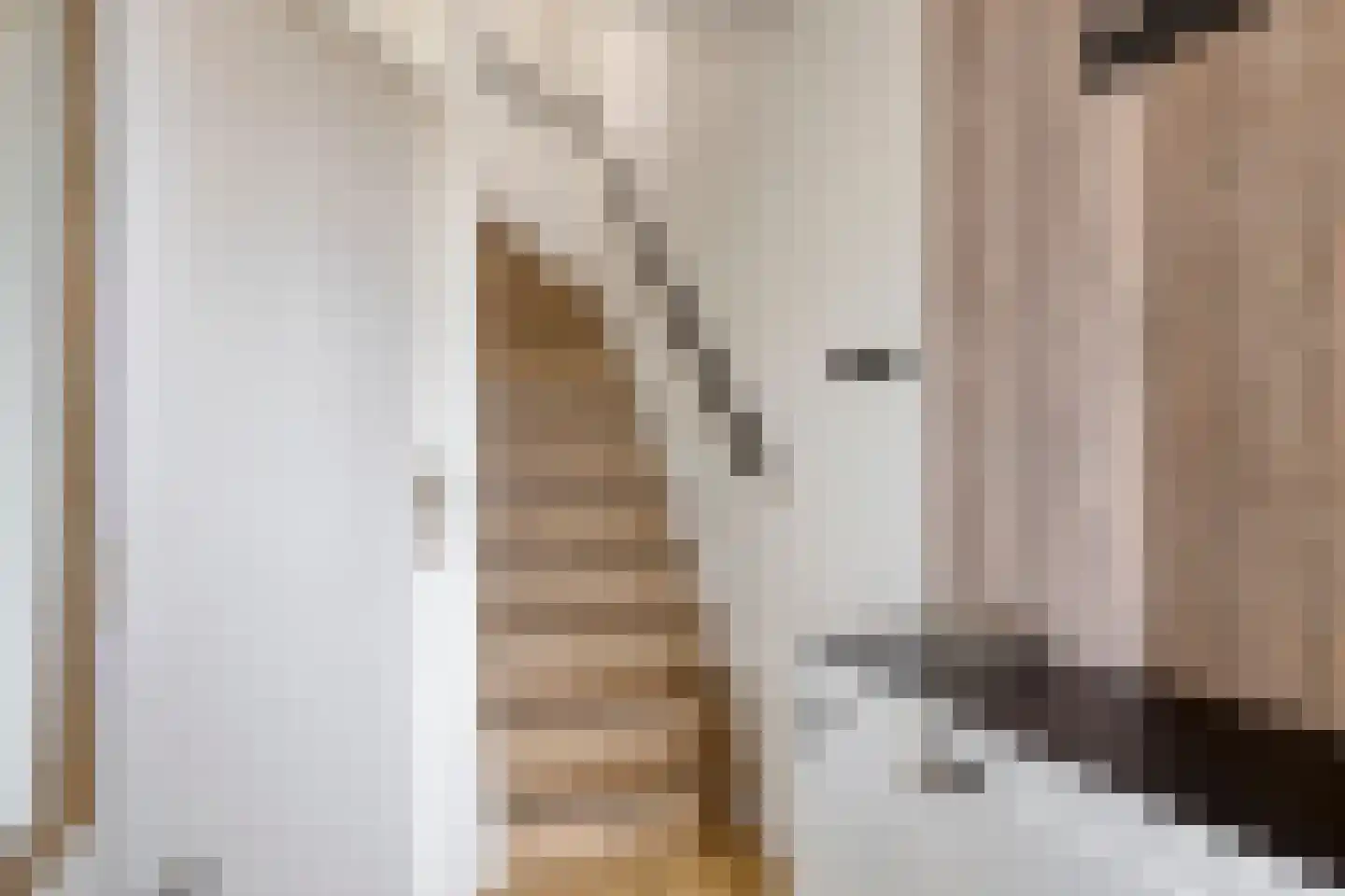 Heijtsveld 174 Gemert thumbnail 7