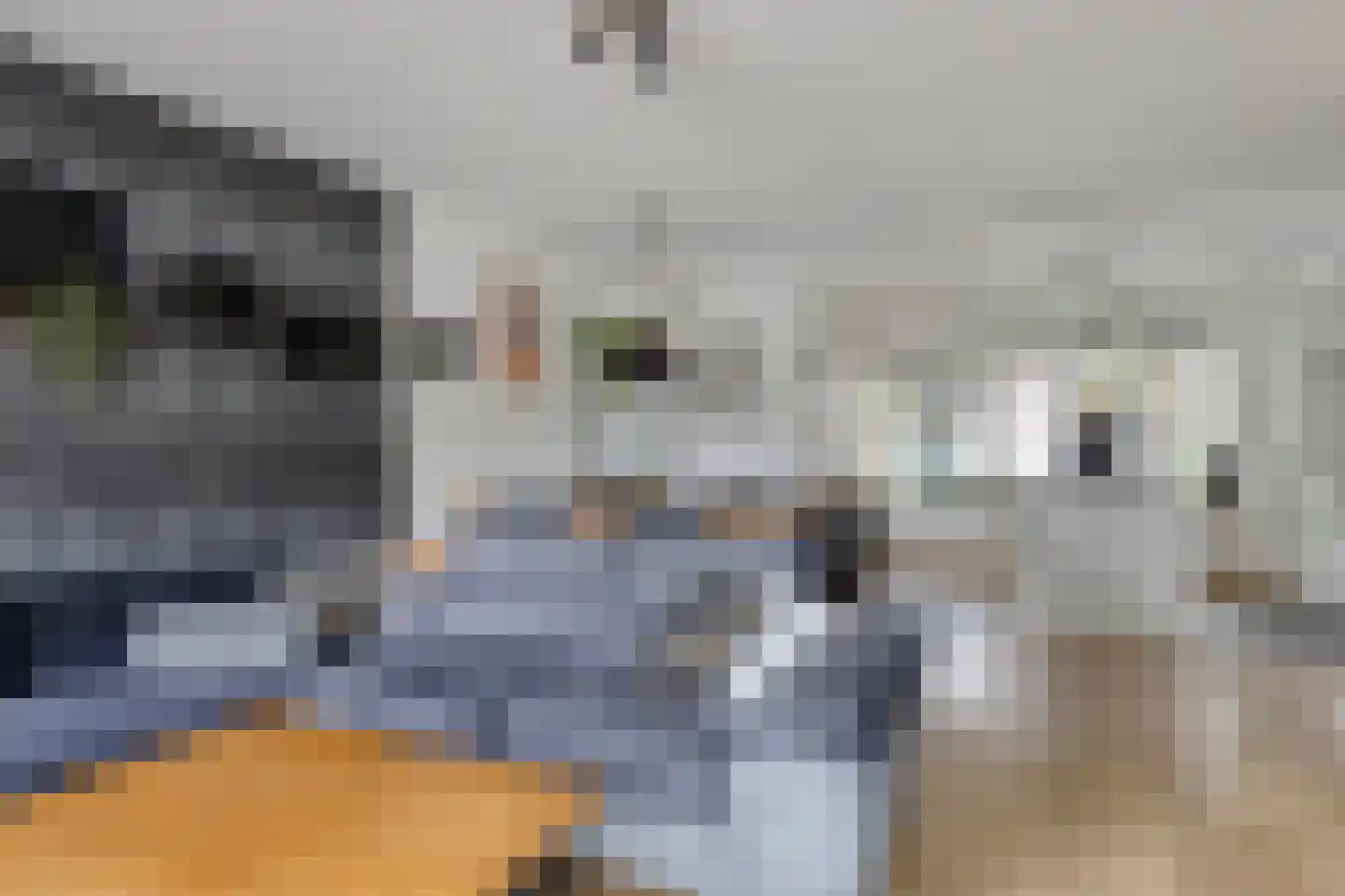 Heijtsveld 174 Gemert thumbnail 9