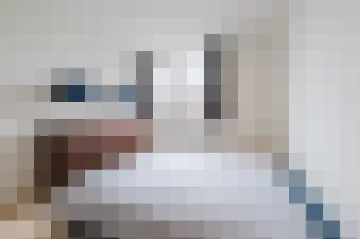 Heijtsveld 186 Gemert thumbnail 22