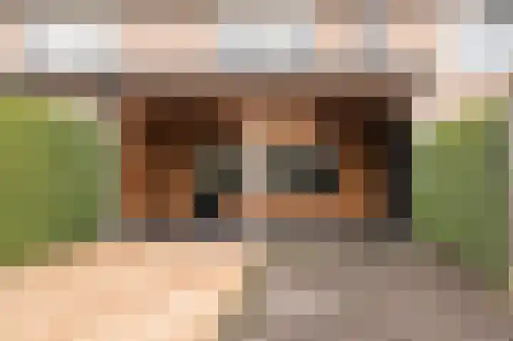 Heijtsveld 186 Gemert thumbnail 37