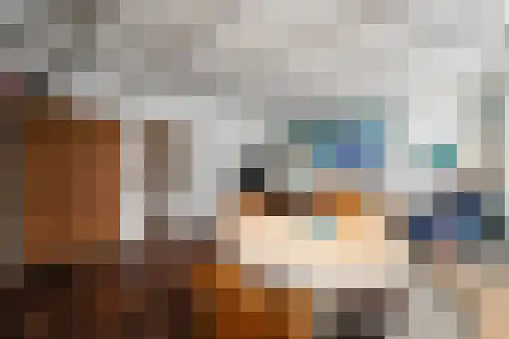 Heijtsveld 186 Gemert thumbnail 41