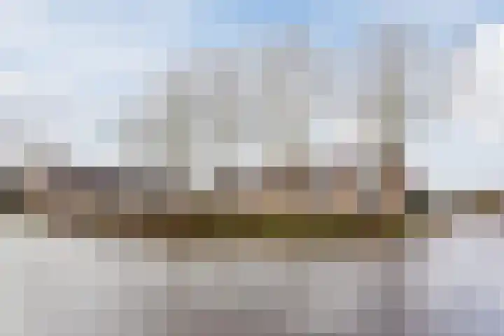 Heijtsveld 186 Gemert thumbnail 42