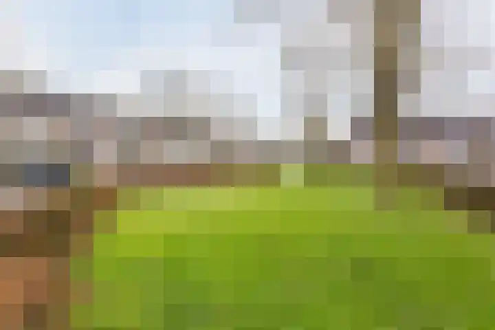 Heijtsveld 186 Gemert thumbnail 46