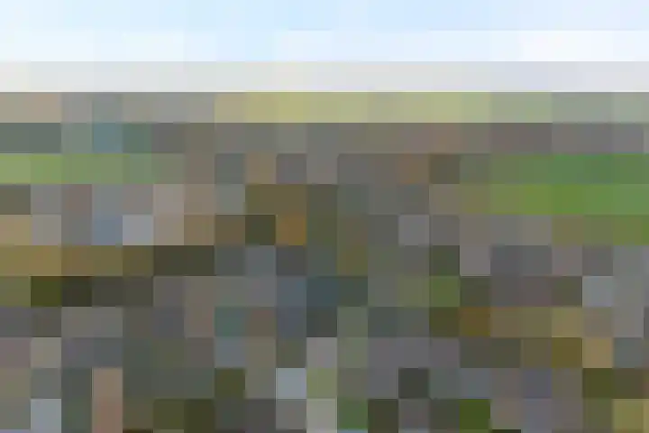 Heijtsveld 186 Gemert thumbnail 9