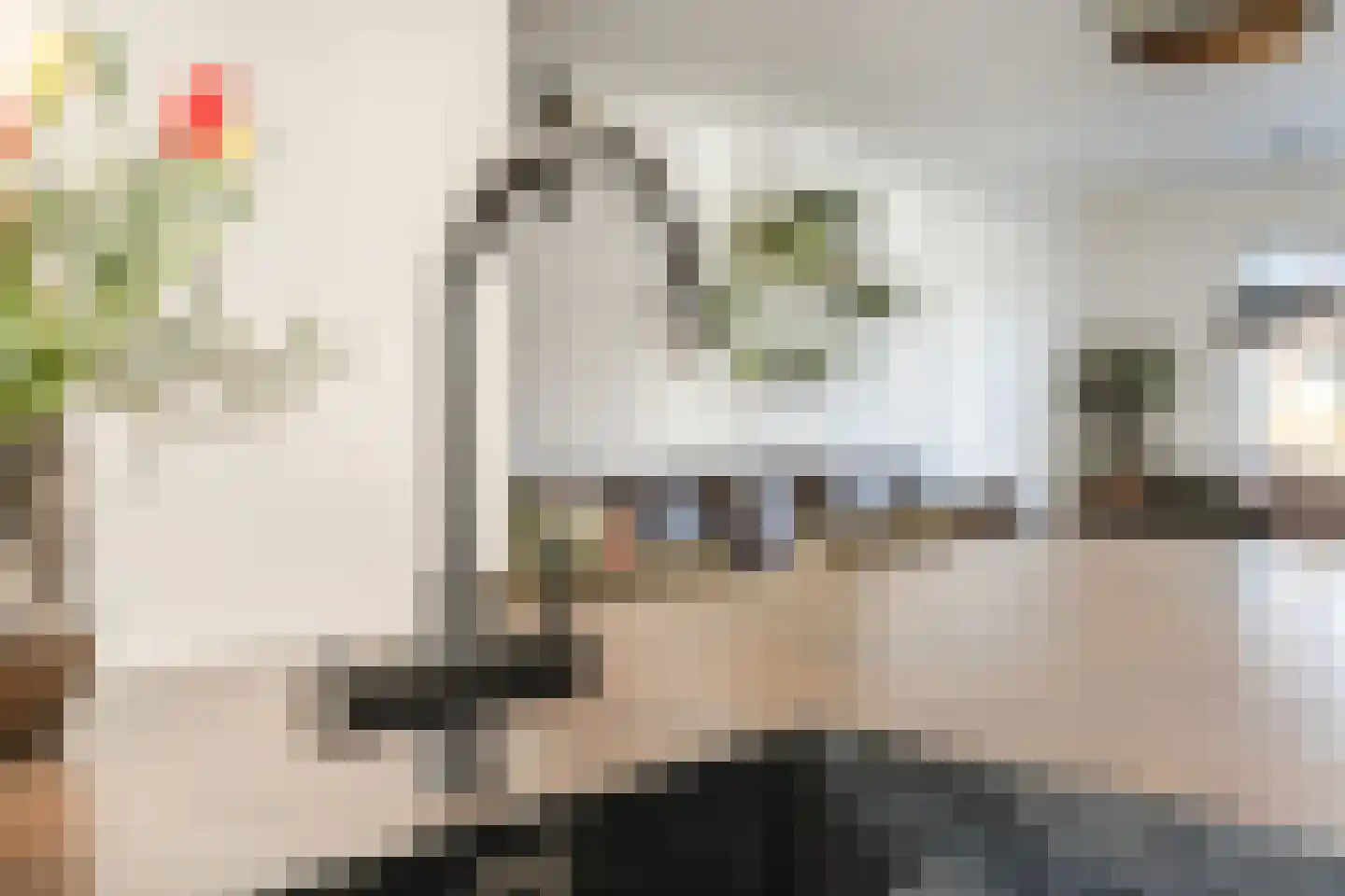 Heijtsveld 187 Gemert thumbnail 12