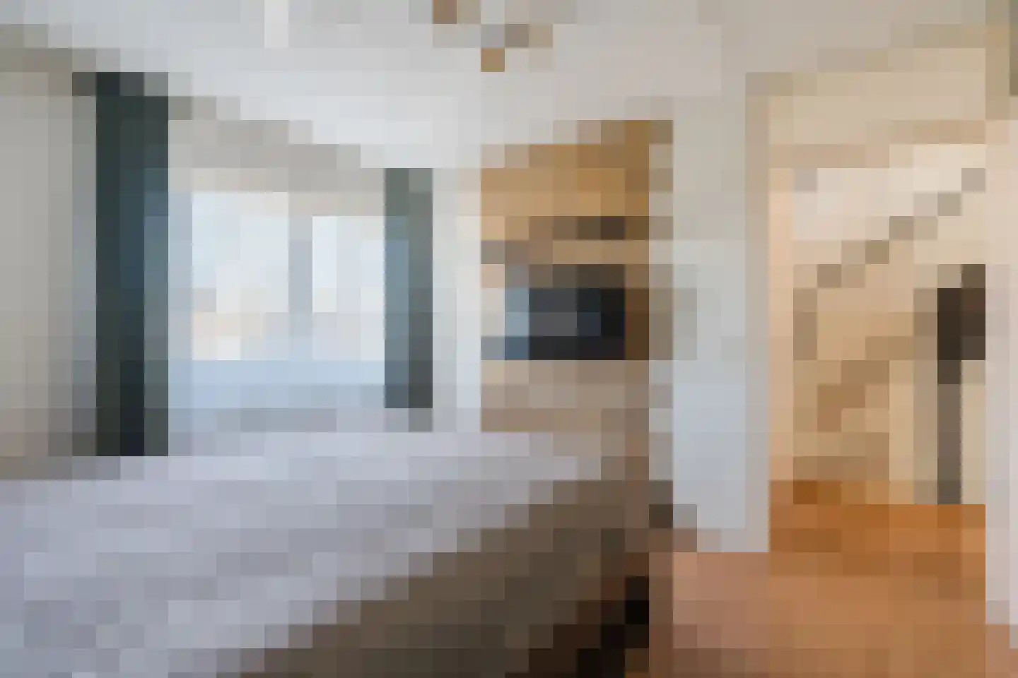 Heijtsveld 187 Gemert thumbnail 16