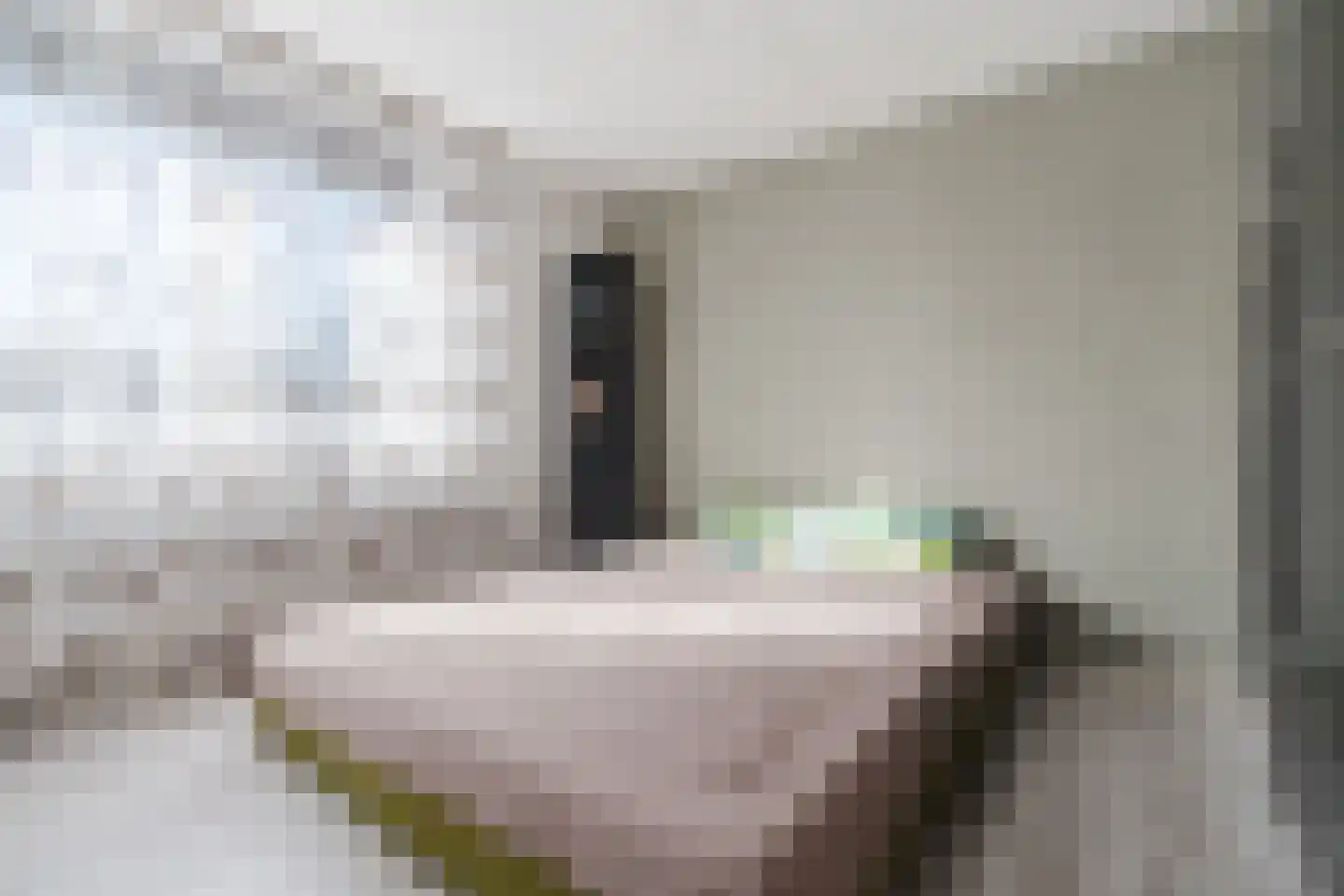 Heijtsveld 187 Gemert thumbnail 17