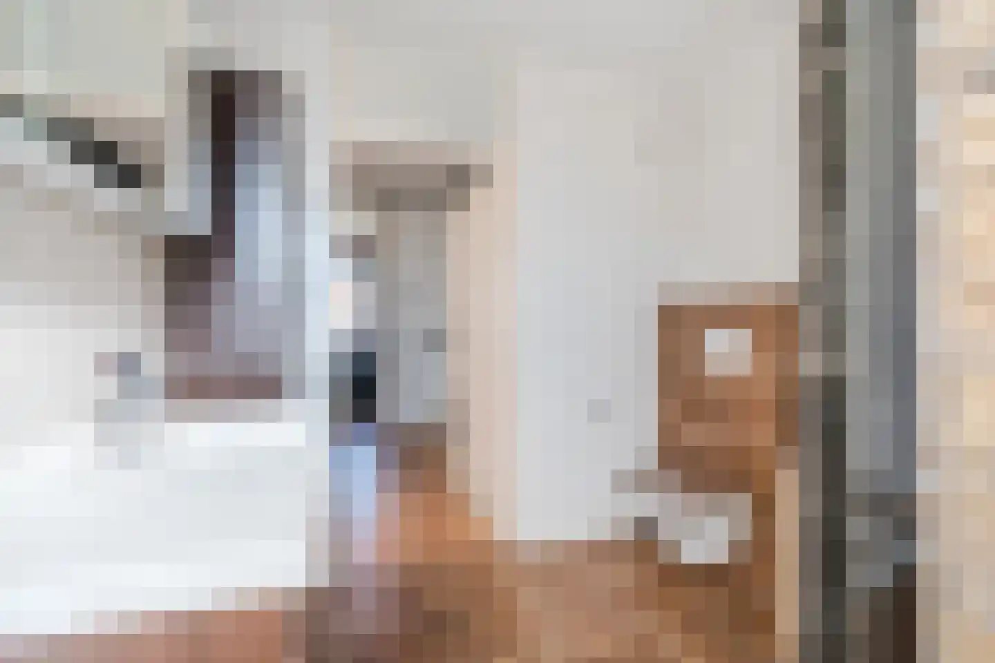Heijtsveld 187 Gemert thumbnail 20
