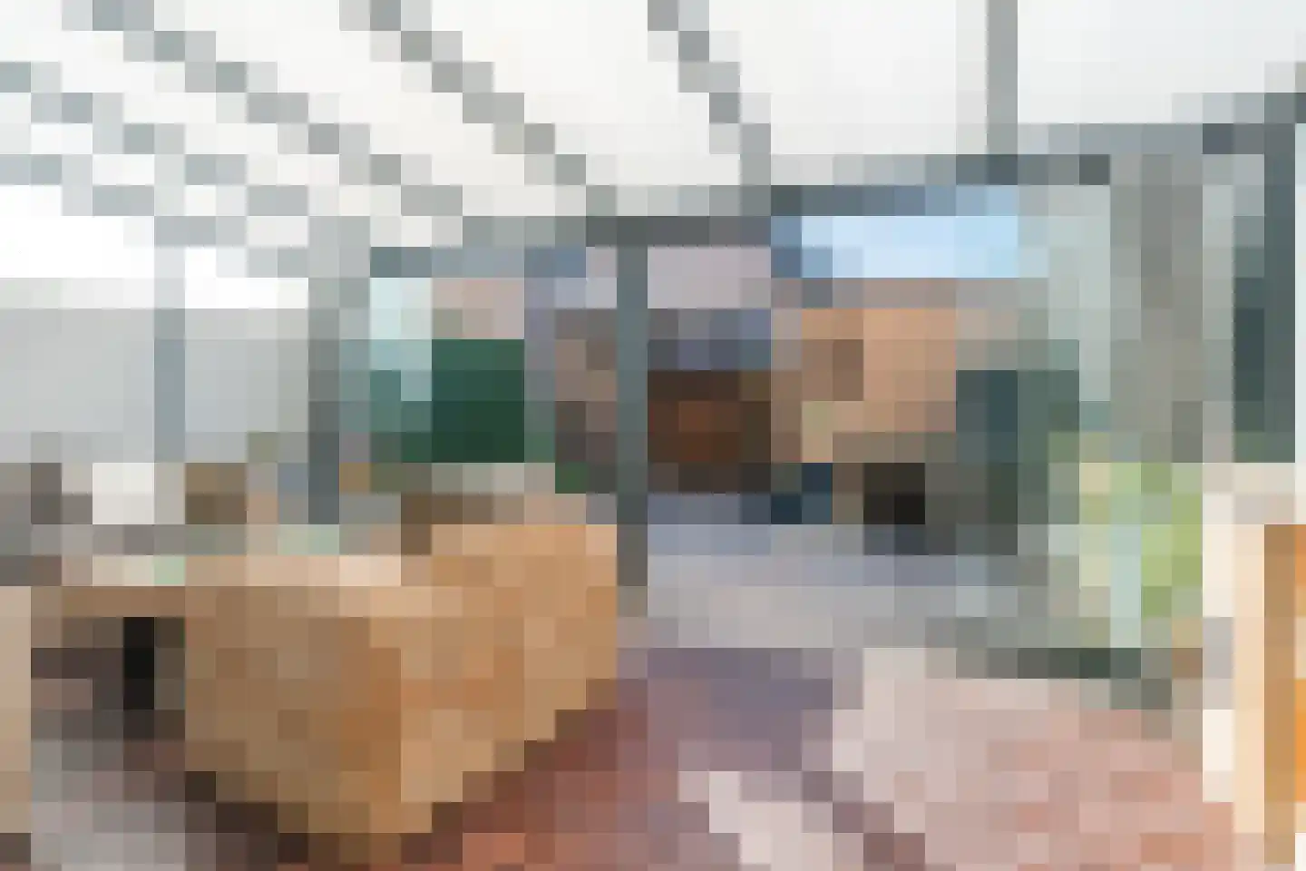 Heijtsveld 187 Gemert thumbnail 27