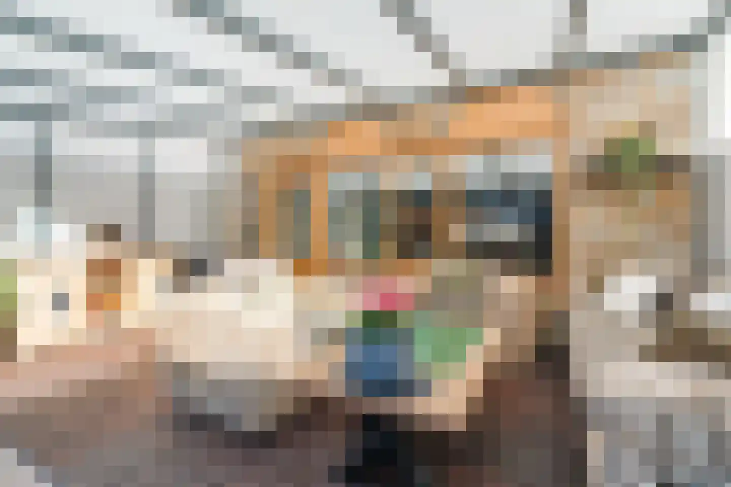 Heijtsveld 187 Gemert thumbnail 28