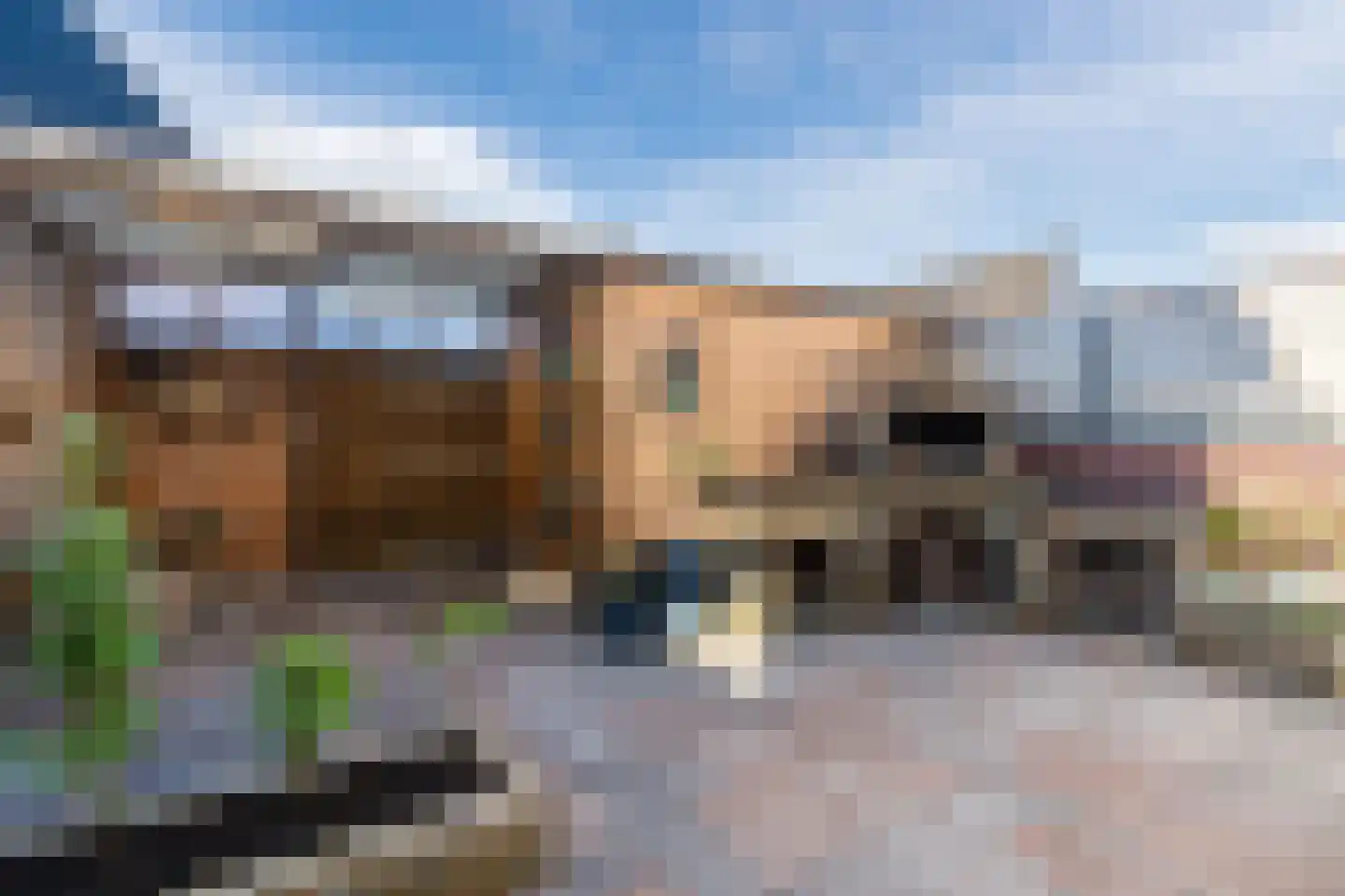 Heijtsveld 187 Gemert thumbnail 29