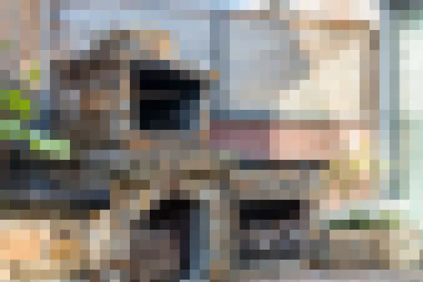 Heijtsveld 187 Gemert thumbnail 30