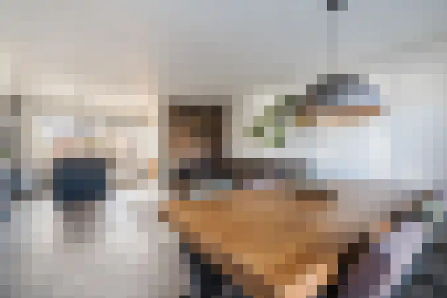 Heijtsveld 187 Gemert thumbnail 9
