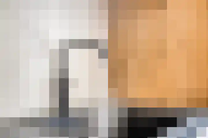 Heijtsveld 215 Gemert thumbnail 10