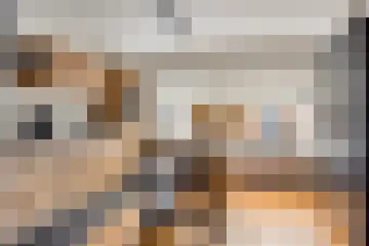 Heijtsveld 215 Gemert thumbnail 11