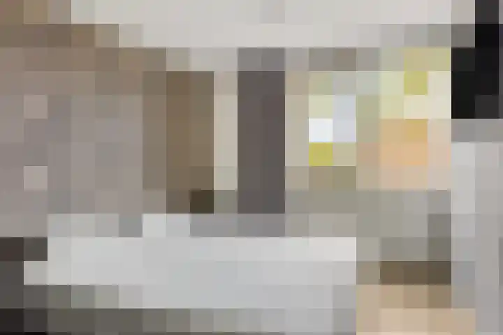Heijtsveld 215 Gemert thumbnail 14