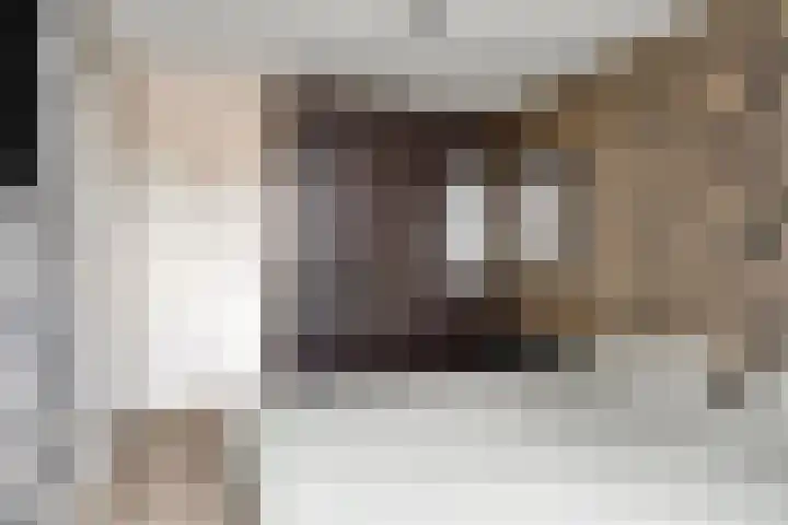Heijtsveld 215 Gemert thumbnail 15