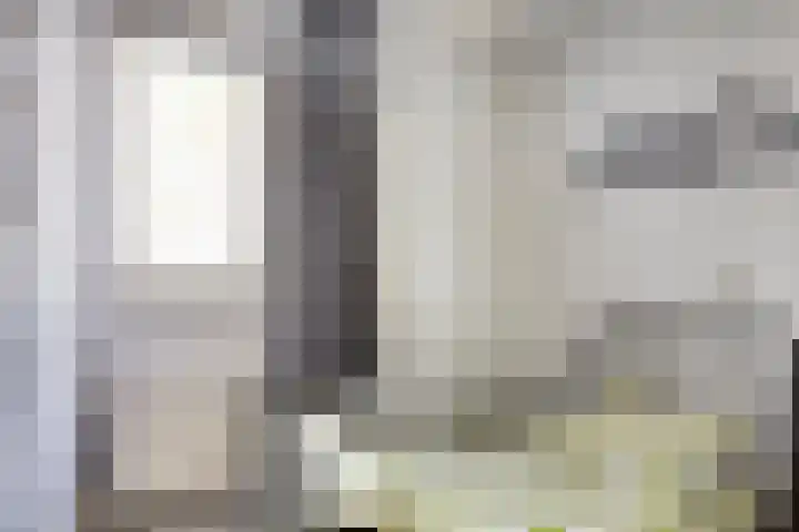Heijtsveld 215 Gemert thumbnail 16