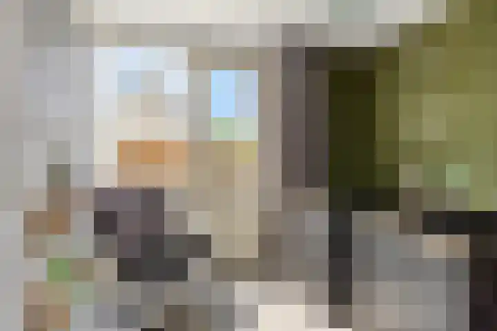 Heijtsveld 215 Gemert thumbnail 17