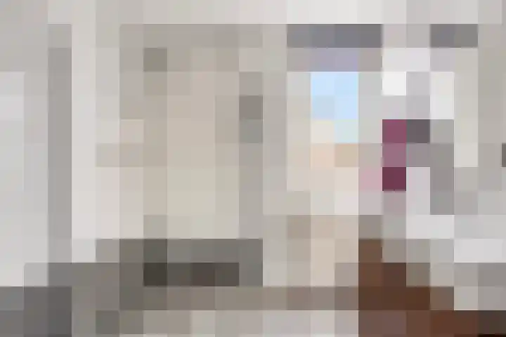 Heijtsveld 215 Gemert thumbnail 18