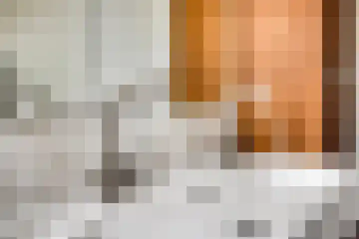 Heijtsveld 215 Gemert thumbnail 20