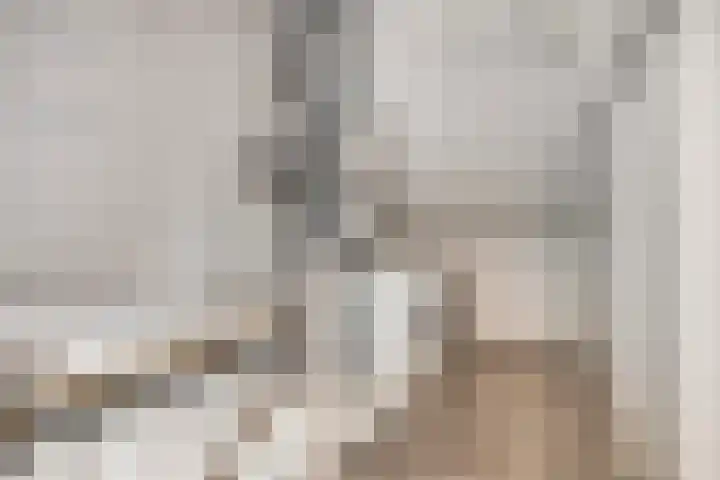 Heijtsveld 215 Gemert thumbnail 21
