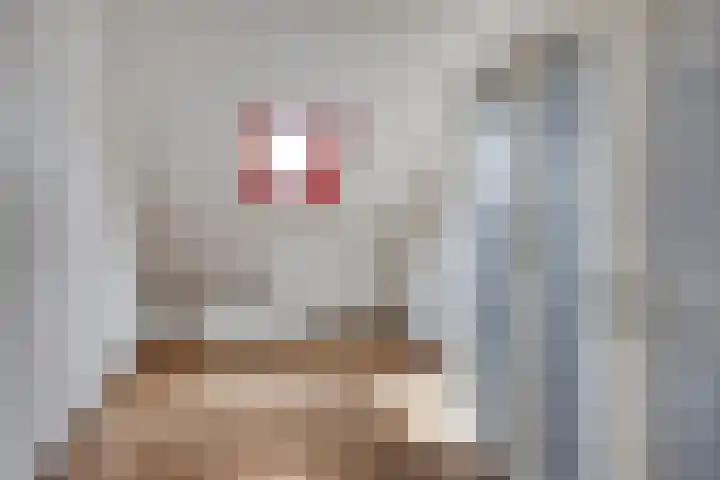 Heijtsveld 215 Gemert thumbnail 23