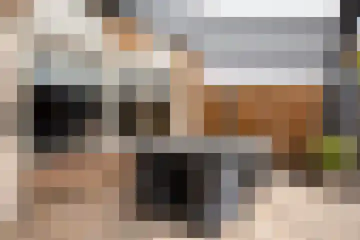 Heijtsveld 215 Gemert thumbnail 24