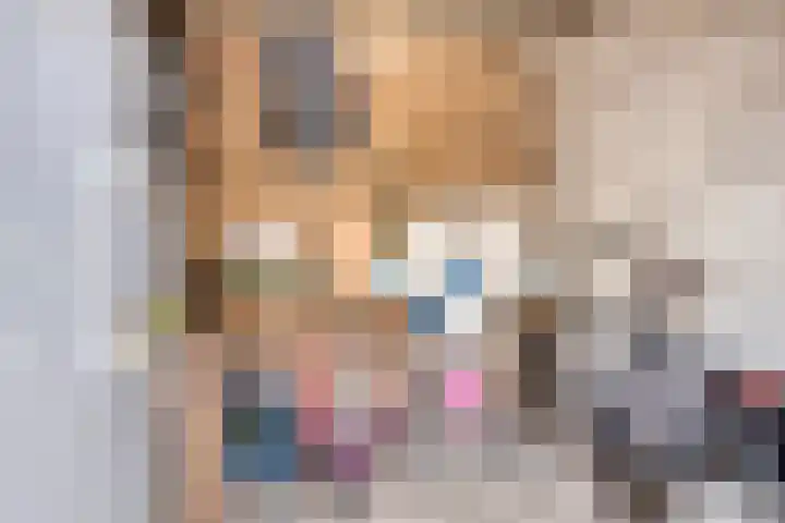 Heijtsveld 215 Gemert thumbnail 27