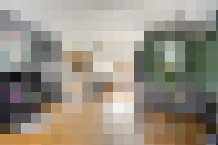 Heijtsveld 215 Gemert thumbnail 4