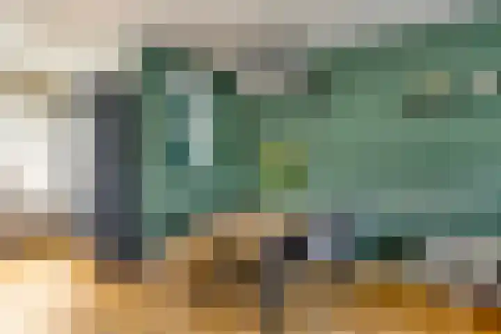 Heijtsveld 215 Gemert thumbnail 5