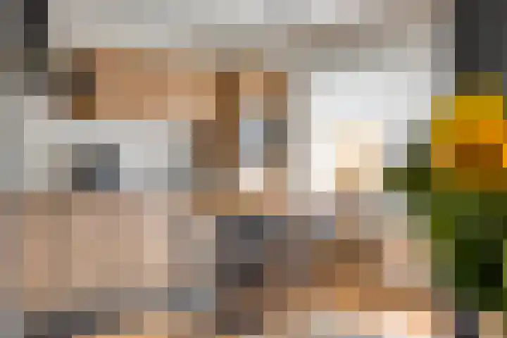Heijtsveld 215 Gemert thumbnail 8