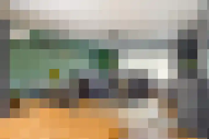 Heijtsveld 215 Gemert thumbnail 9