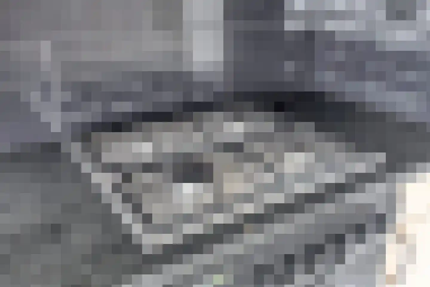 Heijtsveld 227 Gemert thumbnail 13