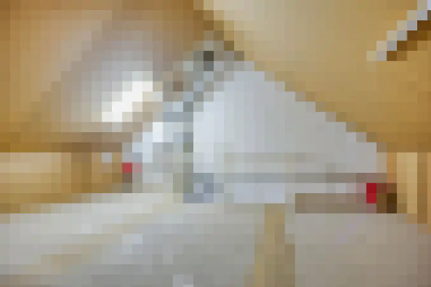 Heijtsveld 227 Gemert thumbnail 25