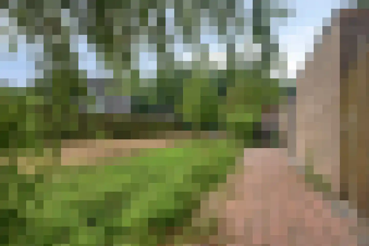Heijtsveld 227 Gemert thumbnail 35